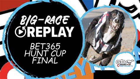 bet365 racing replays.